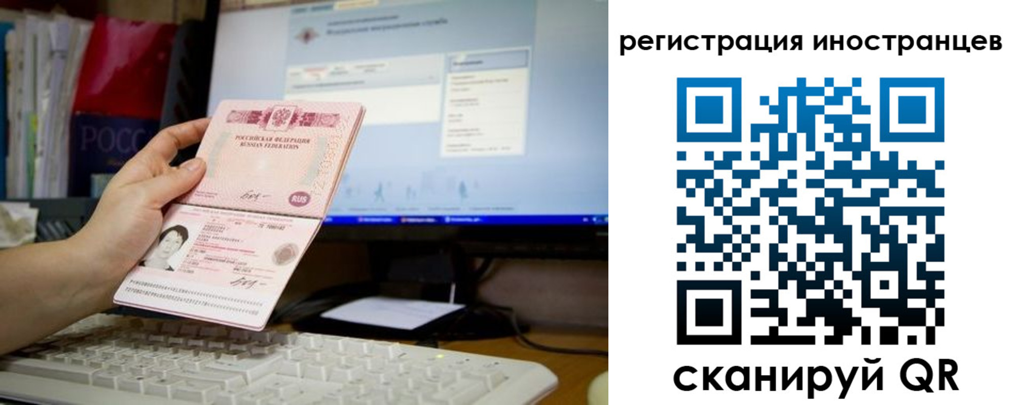 найти адрес прописки в Полярных Зорях